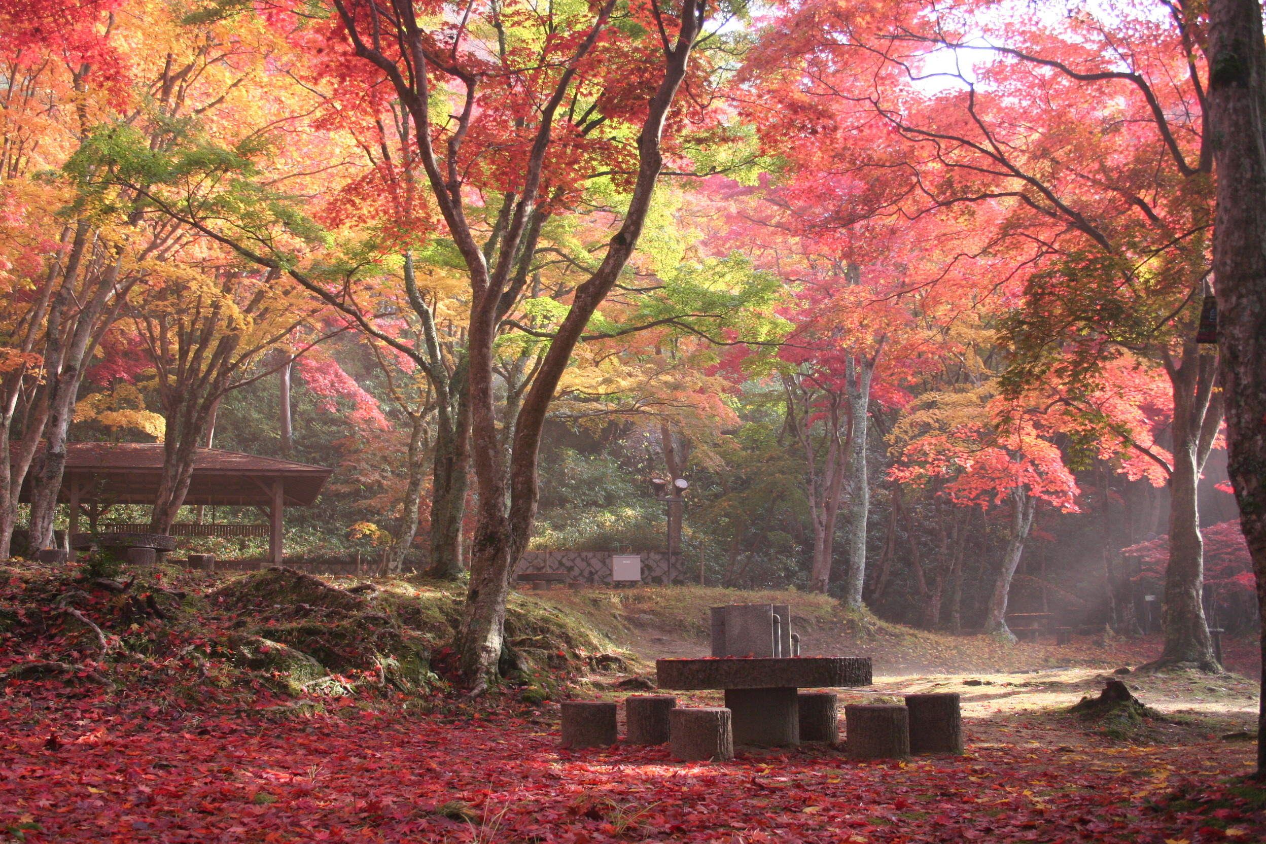 笠置もみじ公園