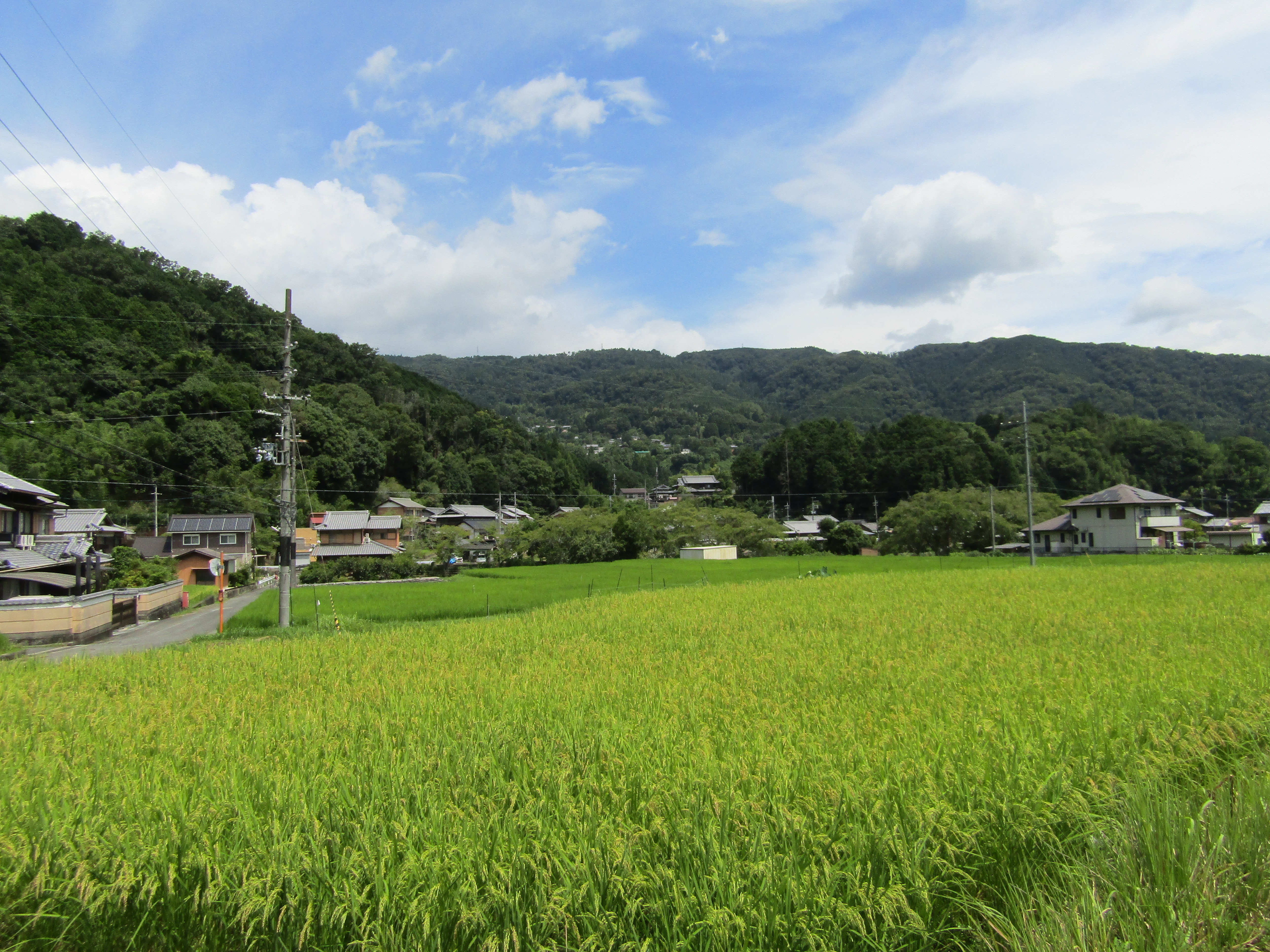 南笠置の田園風景